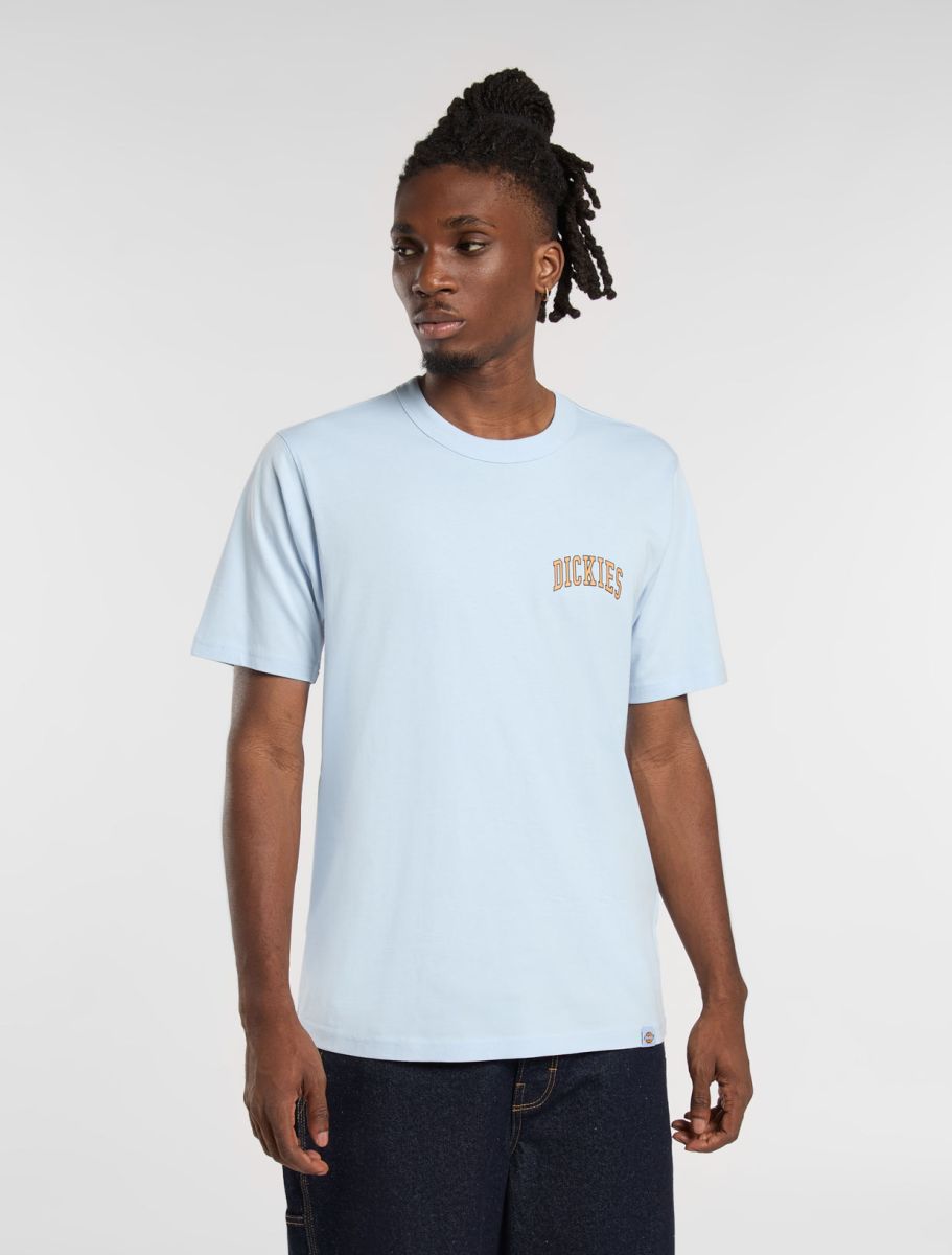 Dickies Aitkin chest T-shirt