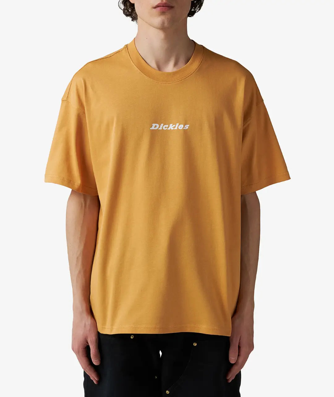 Dickies Enterprise T-Shirt