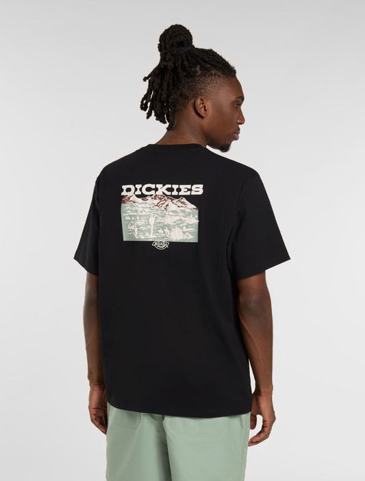 Dickies Landascape T-shirt