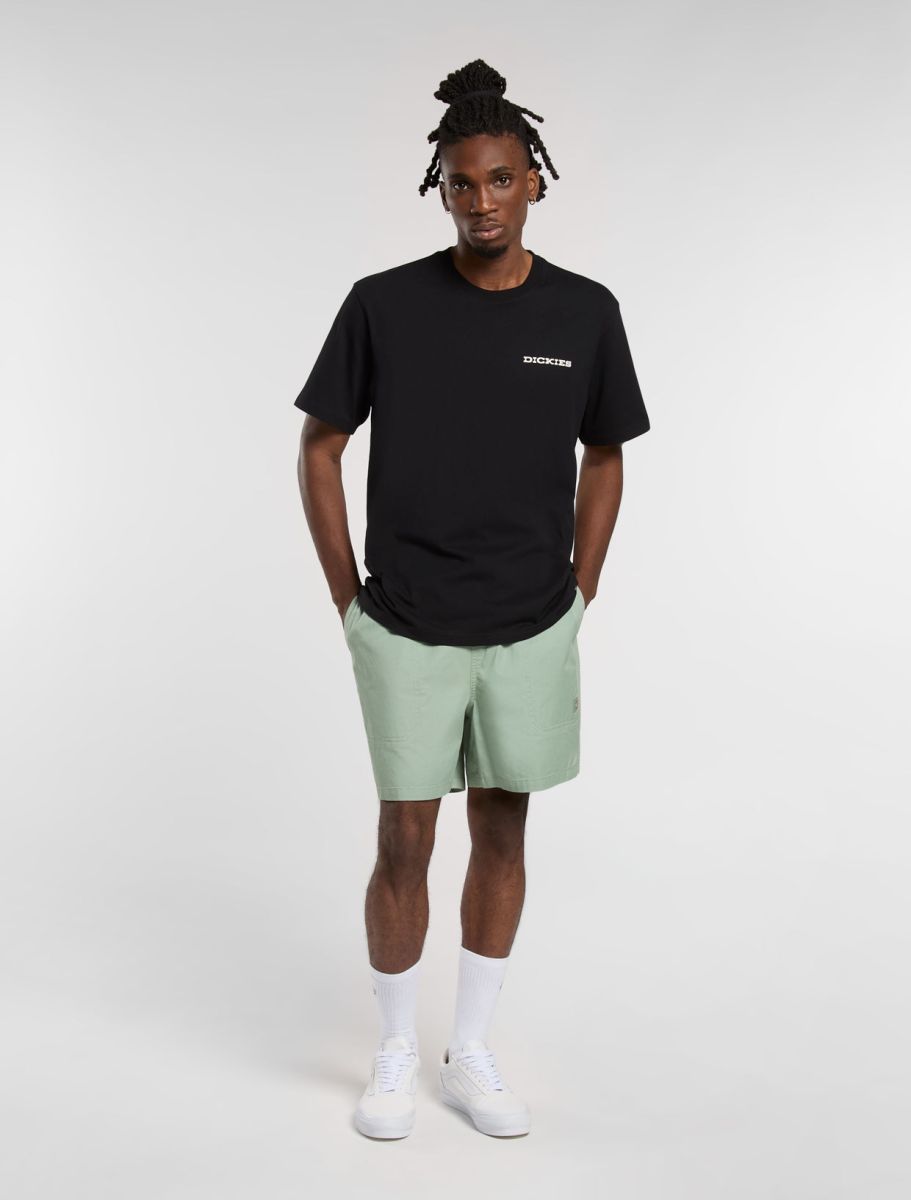 Dickies Landascape T-shirt