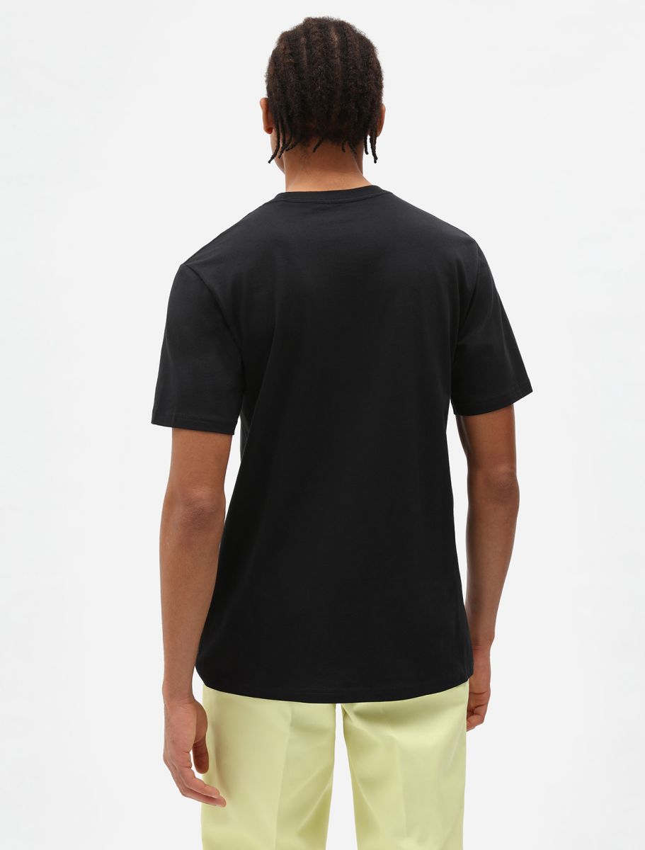 Dickies Mappleton T-Shirt