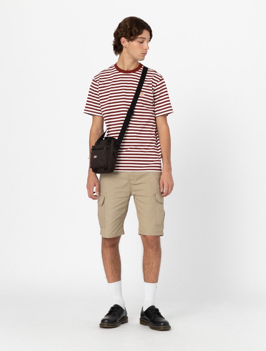 Dickies Millerville shorts