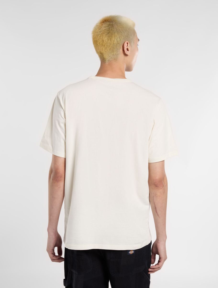 Dickies Aitkin T-Shirt