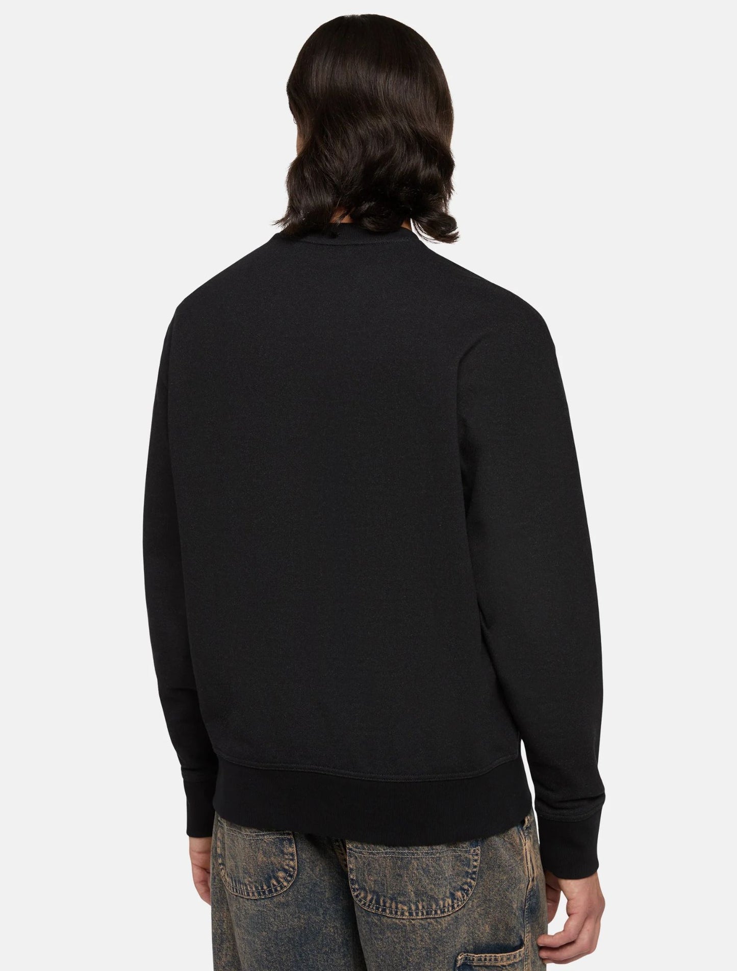 Dickies Clancy heavyweight felpa