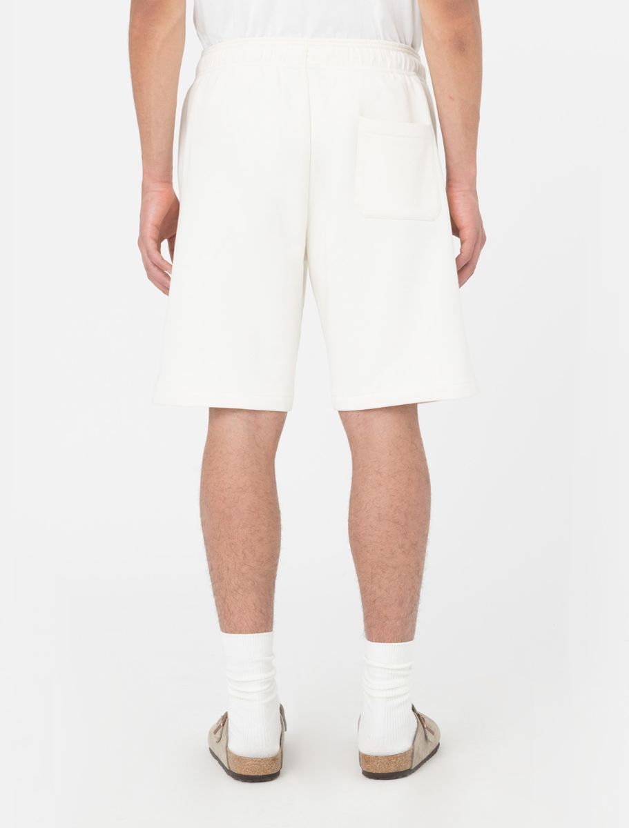 Dickies Mapleton shorts