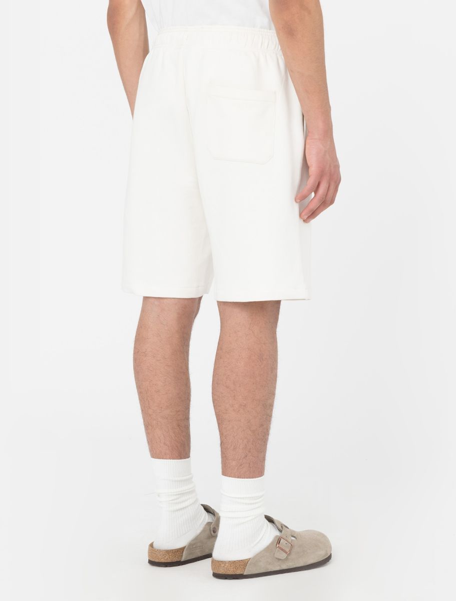 Dickies Mapleton shorts