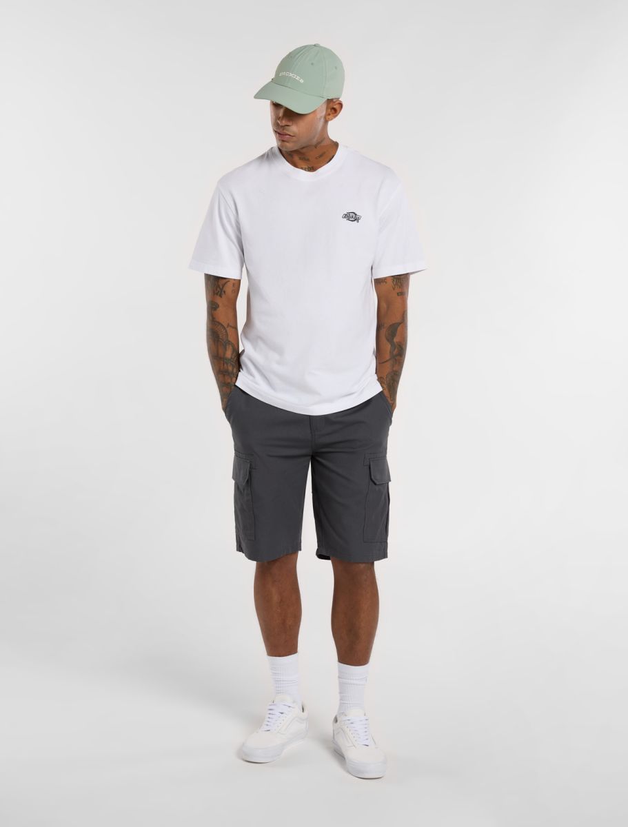 Dickies Millerville shorts