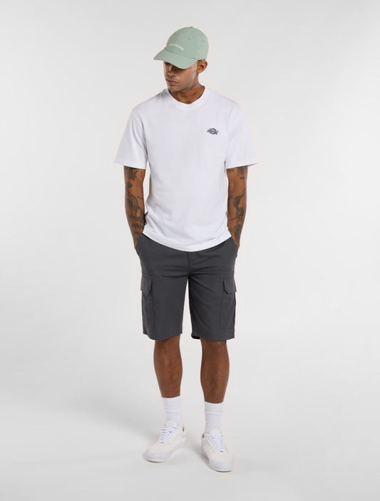 Dickies Millerville shorts