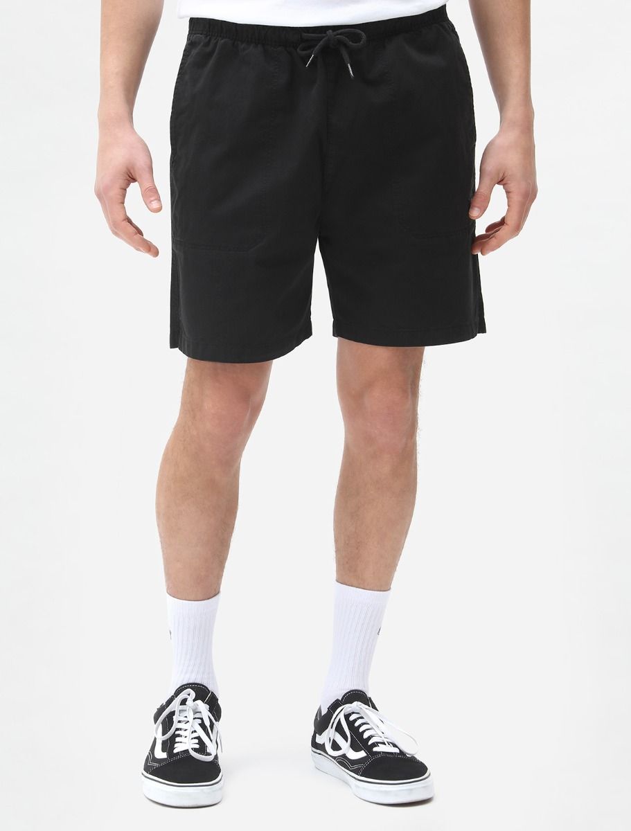 Dickies Pelican shorts
