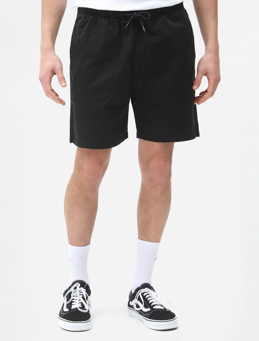 Dickies Pelican shorts