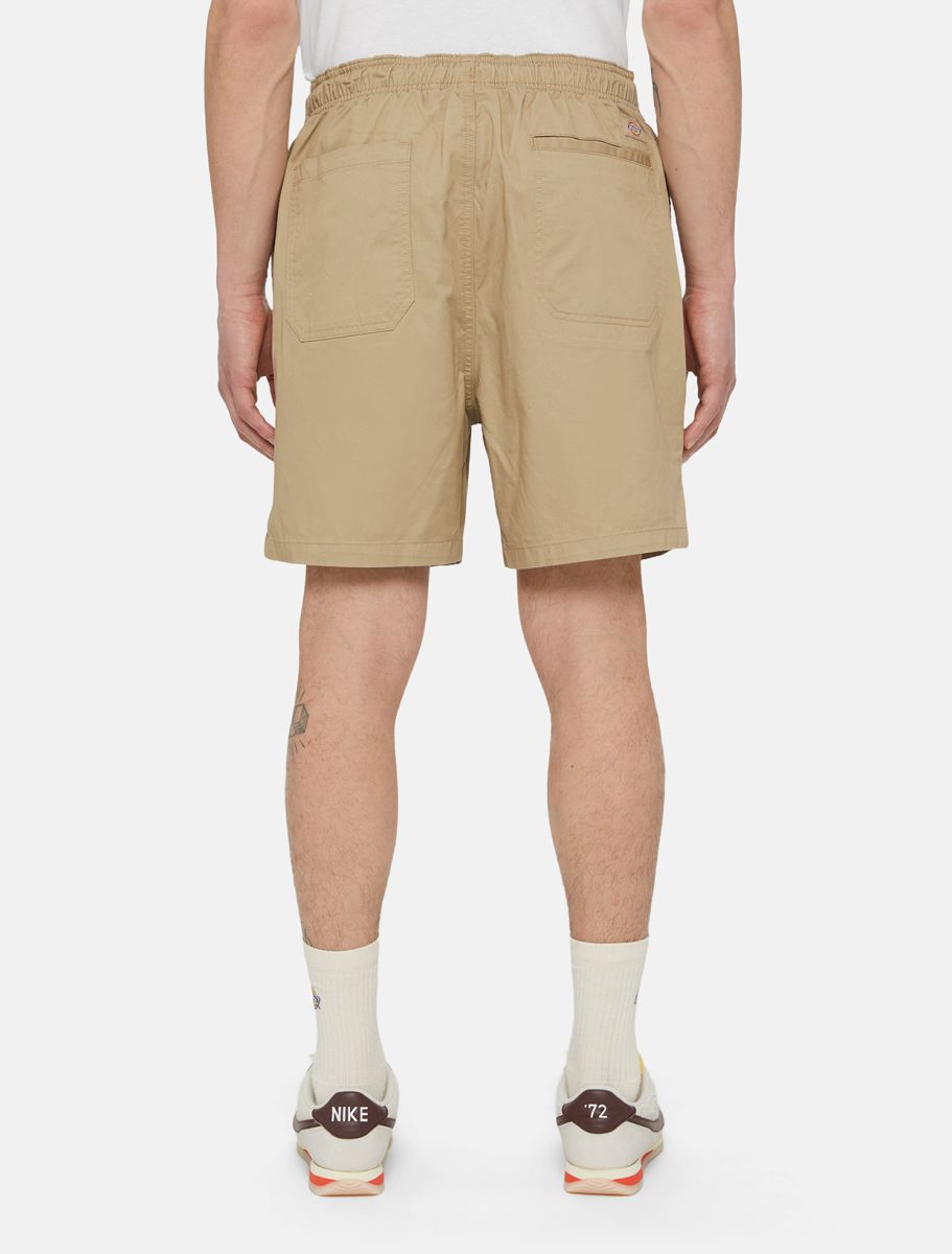 Dickies Pelican shorts