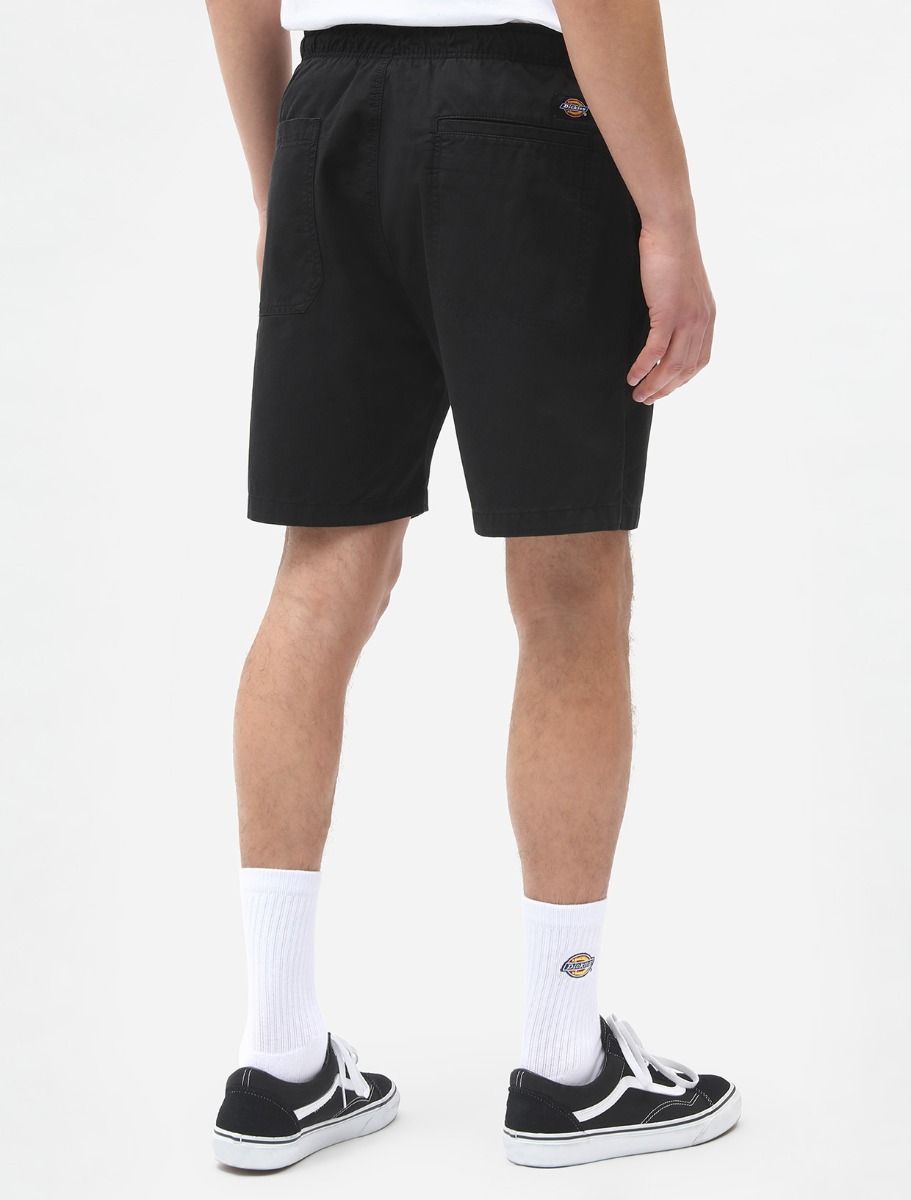Dickies Pelican shorts